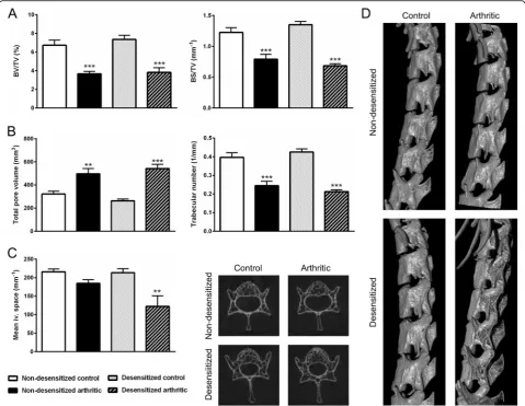Fig. 6 Increased bony ankylosis and unaltered spinal bone remodeling after sensory desensitization
