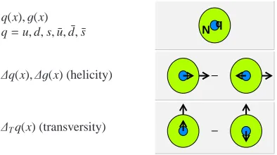Table 1. All eight leading twist parton distributions. Distributionsin parentheses denote alternative notations found in the literature.