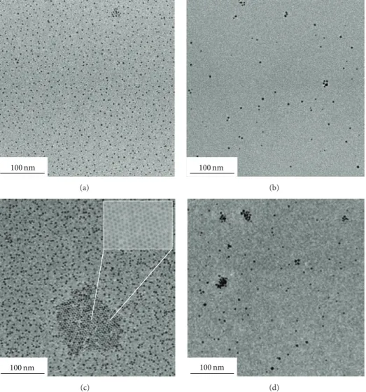 Figure 4: Bright field TEM images of PS@AuNPs for different functionalized ligands and different concentration in gold nanoparticles: (a) PS@Au-Th 200 ppm; (b) PS@Au-PS 200 ppm; (c) PS@Au-Th 400 ppm; (d) PS@Au-PS 400 ppm.