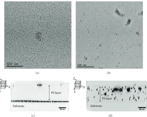 Figure 5: 3D analysis by electron tomography of PS@AuNPs 200 ppm: (a) PS@Au-Th and (b) PS@Au-PS bright field TEM images at 0 ∘ tilt from the tilt series; (c) PS@Au-Th and (d) PS@Au-PS representation of transversal sum of cross-sectional slices along one di