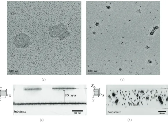 Figure 6: 3D analysis by electron tomography of PS@AuNPs 400 ppm: (a) PS@Au-Th and (b) PS@Au-PS bright field TEM image at 0 ∘ tilt from the tilt series; (c) PS@Au-Th and (d) PS@Au-PS representation of transversal sum of cross-sectional slices along one dir