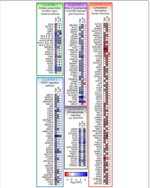 Fig. 2 (See legend on next page.)