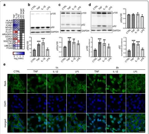 Fig. 4 LPS activated NF-IL-1κB through the non-canonical pathway. (a) Significantly changing proteins were compared with known NFKB1 p50 andNFKB2 p52 targets [39]