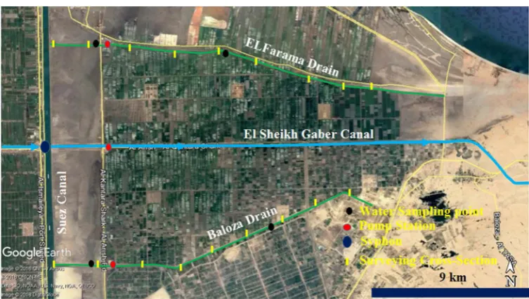 Figure 2. Hydrographic survey cross-sections locations and water sample locations. 