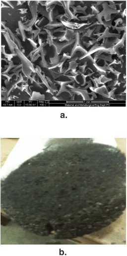 Fig. 1: Image of CFG sample obtained by a. scanning electron microscope  and b. camera