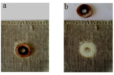 Fig. 1:  The scheme of dielectrics photochemical gilding