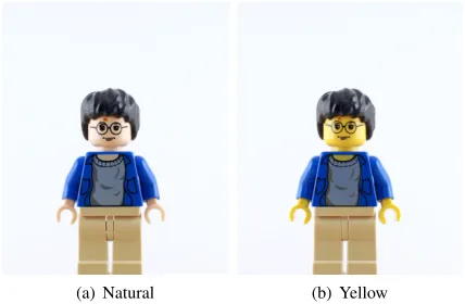Fig. 8.Harry Potter with two different skin colors