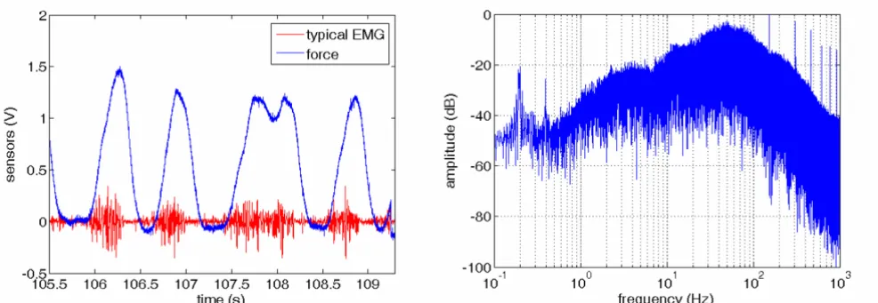 Figure 3 (left) shows the typical EMG signal (red) andforce (blue) recorded by the force sensor