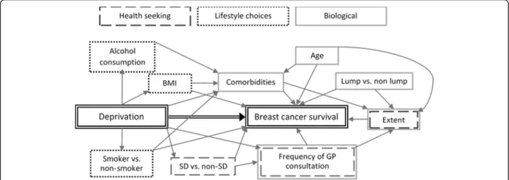 Fig. 1 Conceptual framework for deprivation-specific differences in breast cancer survival
