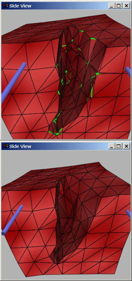 Table 2: Examples of cut: the upper row shows the numberand the average quality of the tetrahedra if the edge collapsetechnique is not applied and the lower row shows the samedata when it is applied.