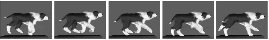 Figure 1: Several frames of our sheepdog animation