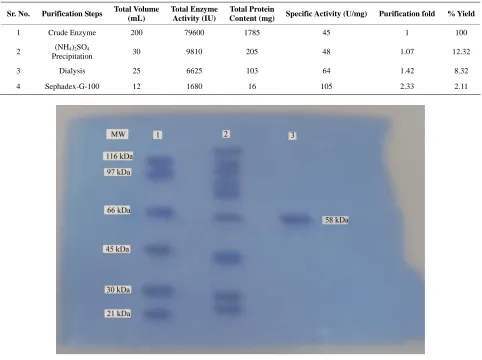 Table 1. Purification summary of cellulase produced from Trichoderma viride under optimum fermentation conditions