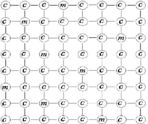 Figure 3: Sample of a lattice with consumers (c) and merchants (m) 
