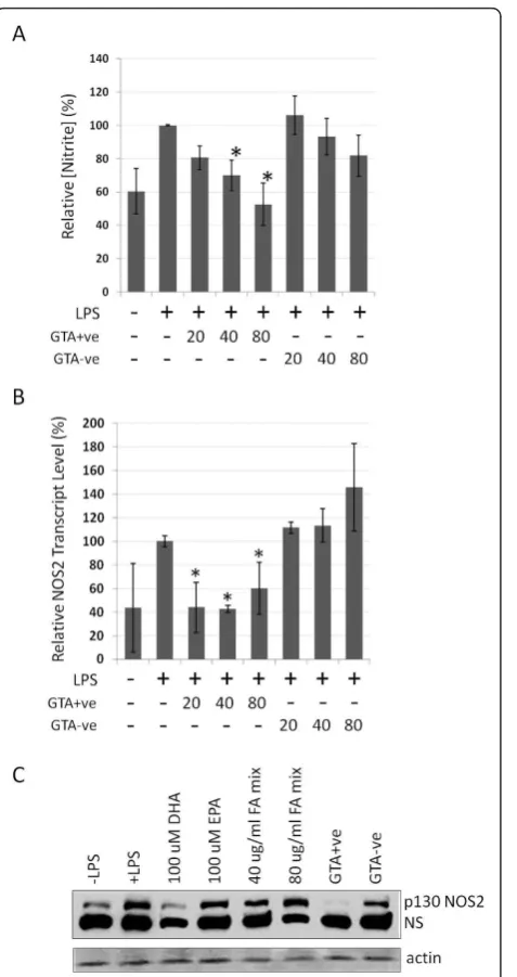 Figure 6 Determination of nitric oxide status in RAW264.7 cellstreated with GTA+ve and GTA-ve extracts