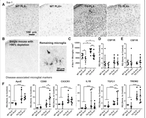 Fig. 1 Partial microglial depletion by PLX3397 in aged Tg4510 mice.stereology. The mouse from (as in a separate 6 month (wild-type (WT) and Tg4510 (TG) mice treated with and without PLX.in the cortex, though deeper layers had occasional ramified and amoebo