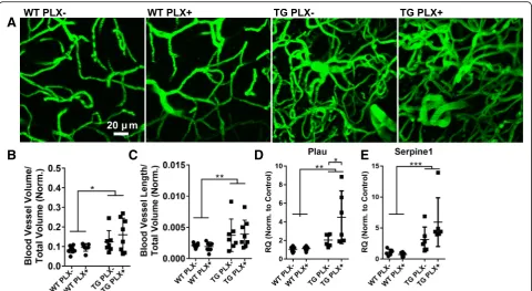 Fig. 5 No change in astrocyte activation area. a Full slice images of GFAP-labeled area from wild-type (WT) and Tg4510 (TG) mice