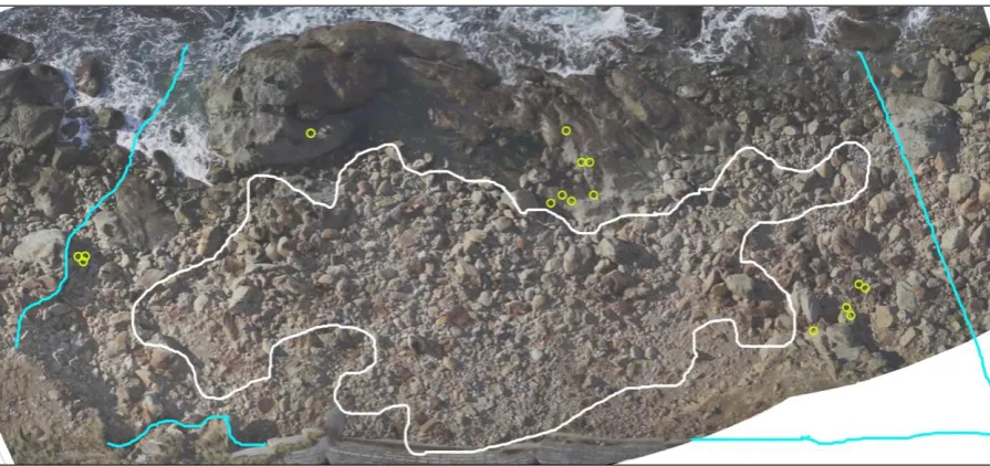 Figure 6. Bird’s eye view of the study area at mid-tide, created from a video taken by a quadcopter (kindly provided by O.Gooday) using PTGui and Adobe Photoshop