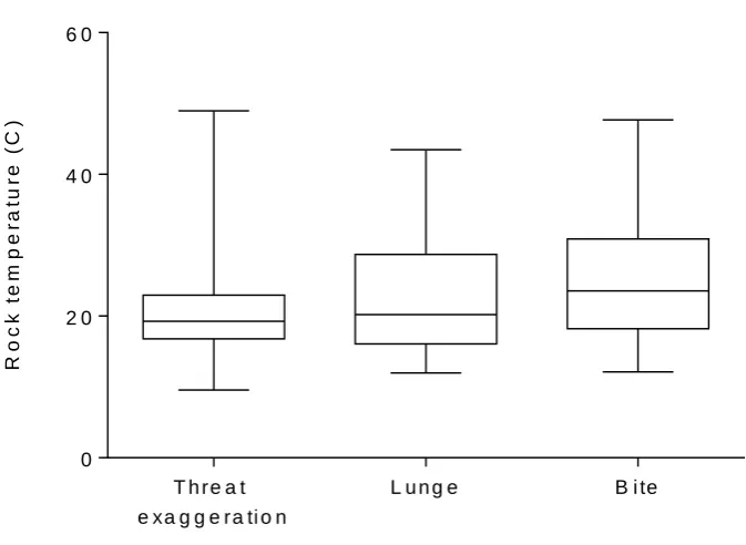 Figure 10. Highest intensity of aggression displayed by focal females as a factor of rock temperature