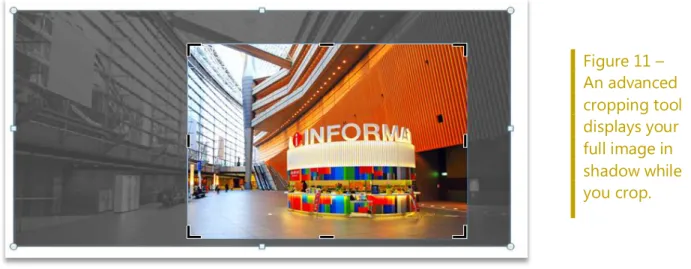 Figure 11 –   An advanced  cropping tool  displays your  full image in  shadow while  you crop