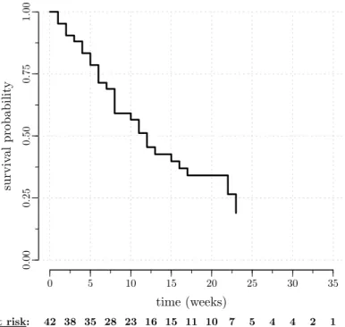 Figure 1.1: Kaplan-Meier survival curve in the remission duration data, with number of subjects at risk.