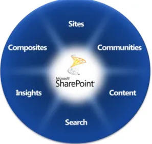 Figure 1. Capability areas of SharePoint Server 2010 