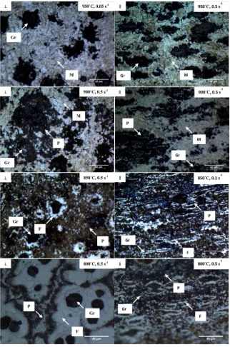 Figure 8. The revealed microstructure of the deformed specimens at different conditions in direction perpendicular (⊥) & parallel (∥) to the applied force