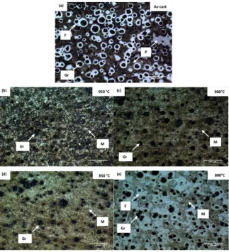 Figure 5. Microstructures of as-cast, H-I, H-II, H-III and H-IV specimens respectively