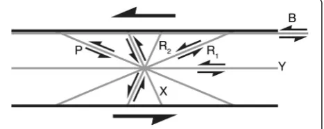 Figure 6 Schematic diagram showing the relative orientationsof various localized shear features