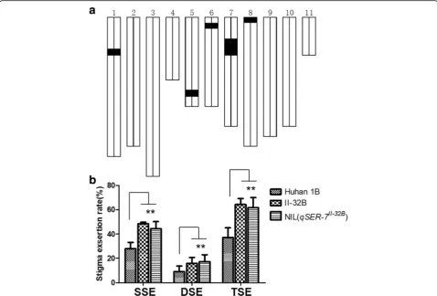 Table 1 The stigma exsertion rates of Huhan 1B, II-32B and NIL (qSER-7II-32B)