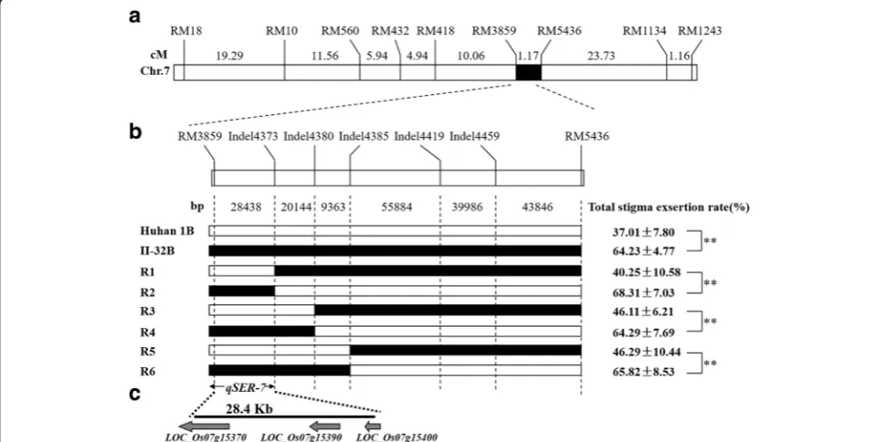 Fig. 4 Fine mapping ofin the rice genome annotation database (http://RM3859 and Indel4374