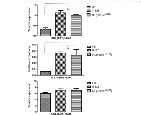Fig. 5 The RT-PCR analysis of predicted genes in Huhan 1B, II-32B, and NIL (qSER-7II-32B)RNA was isolated from frozen young panicles (5 mm to100 mm)