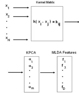 Figure 1: Pipeline of the KMDA method. Firstly, the ker- ker-nel matrix is generated from input samples and KPCA is applied