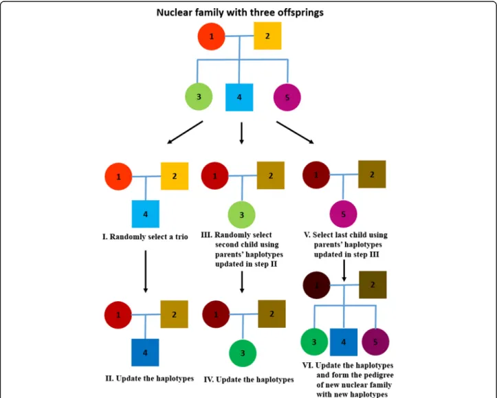 Fig. 1 The example of updating haplotypes in a nuclear family with three offspring for each iteration