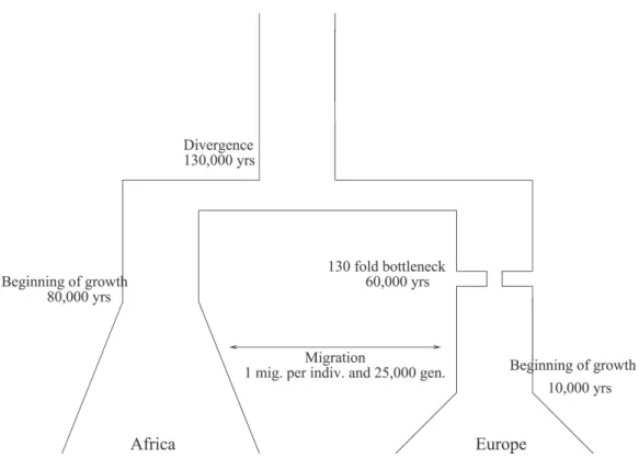 Figure 4.2: Population model used for simulating haplotypes using ms