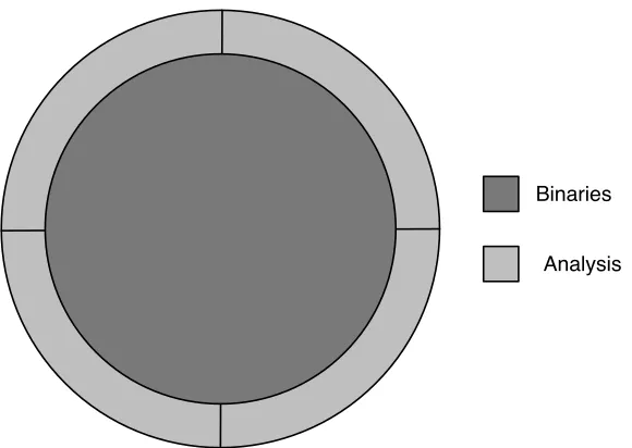 Figure 1.5: Conceptual representation of a binary-based framework