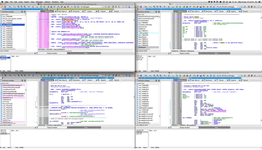 Figure 2.1: Rails being used to analyze an a crackme