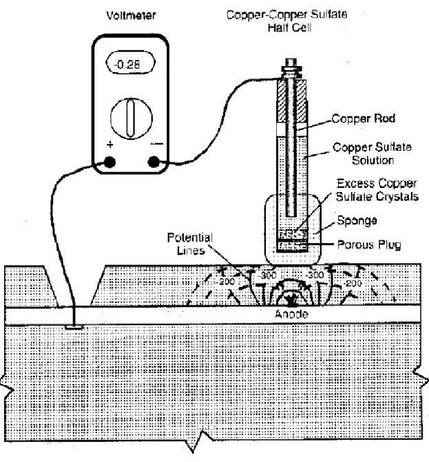 Fig. 3.2.1 Apparatus for Half-Cell Potential Measurement 