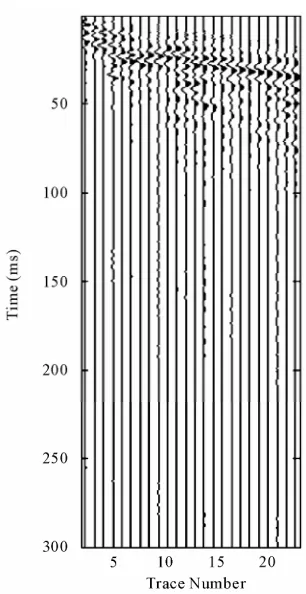 Figure 4. Typical raw shot gather data acquired in the ex-perimental sites.  