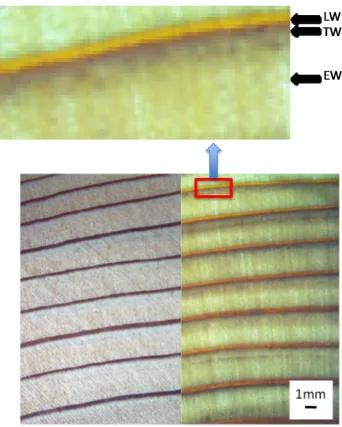 Fig. 5  Comparison of an image of of 0.76 mm with the light from the photographing side (left) and from the back of the sample L sample with a thickness (right)