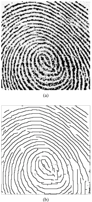Figure 3. Original low-quality fingerprint image and the preprocessed images. (a) Original fingerprint image1; (b) Preprocessed image 1