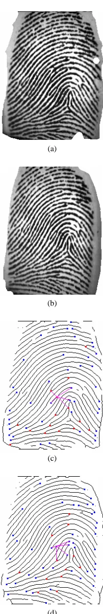 Figure 6. Original fingerprint images and feature extracted images. (a) original fingerprint image1; (b) original finger-print image 2; (c) feature extracted image 1; (d) feature extracted image 2