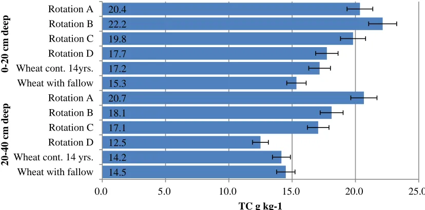 Figure 1. Effect of crop rotation on soil total carbon 