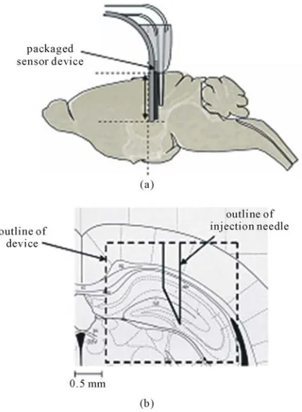 Figure 8. Typical electrophysiological recordings with and without the implanted CMOS device