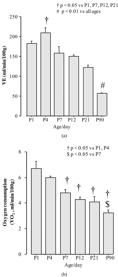 Figure 1. Baseline minute ventilation (a) and meta- bolism (b) across ages studied in rats