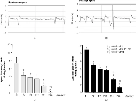 Figure 4. Examples of spontaneous (a) and post-sigh (b) apnea recorded during last 10 min of baseline and hypoxia in P12 rats