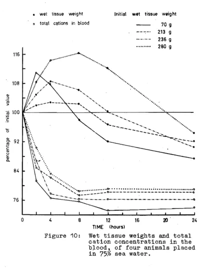 Figure 10: Wet tissue weights and total cation concentrations in the 