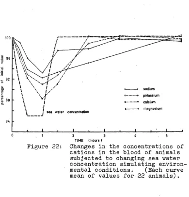 Figure 22: Changes cations TIME (hours) in the concentrations of in the blood of animals 