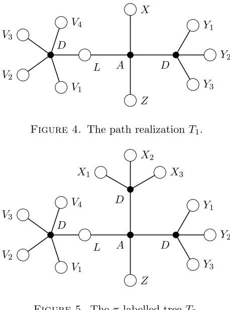 Figure 4. The path realization T1.