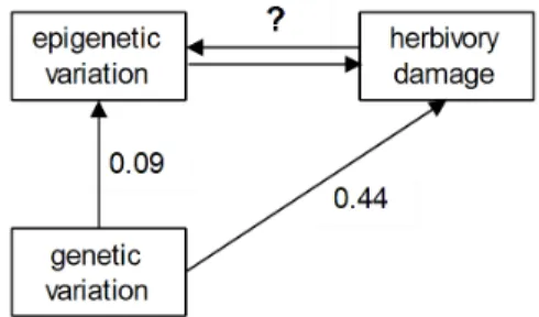 Figure 3: A simplified path diagram representing the two best fitting causal models of Her- Her-rera  and  Bazaga  (2011)