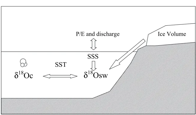 Fig. 1. Main parameters inﬂuencing the isotopic composition of planktonic foraminifera shells (Sea surface temperature (SST) and the isotopic composition of the surrounded waters (last parameter is also dependant on sea surface salinity (SSS), linked with 